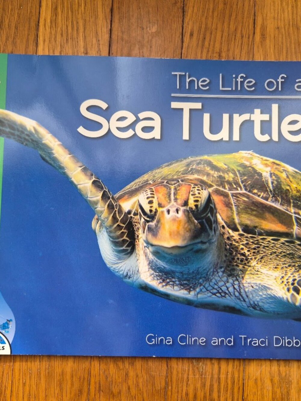 The Life of a Sea Turtle Children's Book